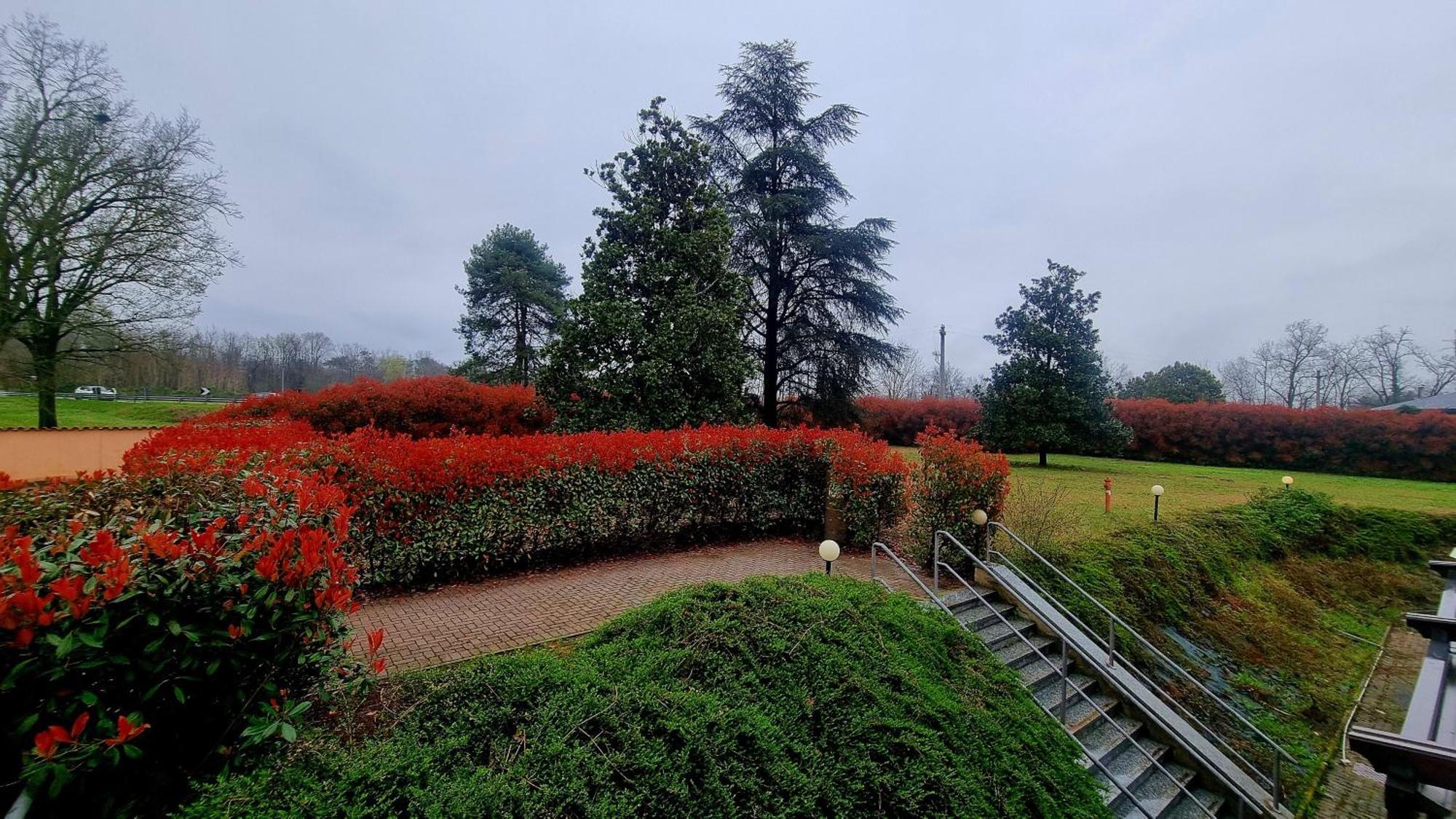 Hotel Villa Delle Rose - Malpensa Оледжо Екстериор снимка
